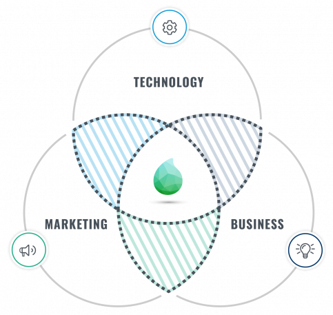 Dropsolid's development approach combining business, technology, and marketing.