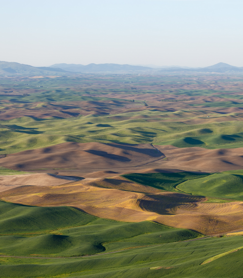 Green rolling landscape (image credit: Caleb Riston)
