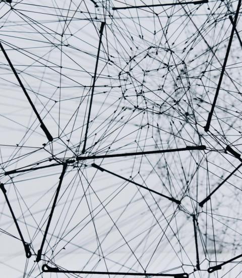 black grid network on white background (credit-AlinaGrubnyak)