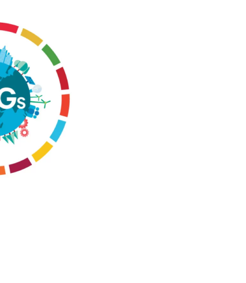 SDG_gabriela_header