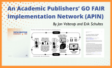 Visual with orange border and "GO FAIR Implementation Network (APIN)" article title in blue font